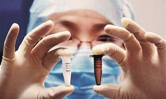 �������Ĵ��ֵȡ��ָ����ҽҩ��ҵ������ǿ