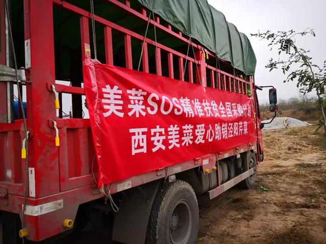 ����40����۲˴���������������ҹ�ж�