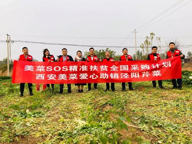 ����40����۲˴���������������ҹ�ж�