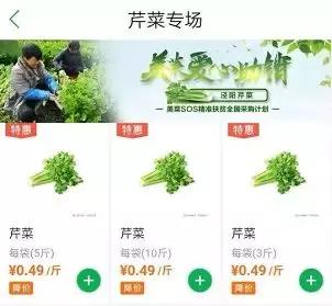 ����40����۲˴���������������ҹ�ж�