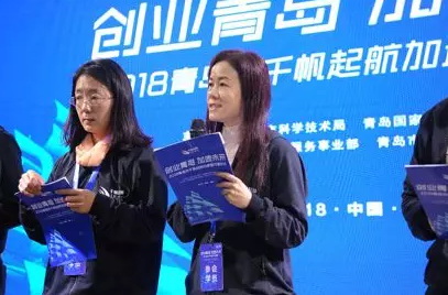 ��μ���Ӫ�ۼ���̩ɽѧ����Ŀ5����ǧ�˼ƻ���Ŀ8�����п�Ժ�����˲���Ŀ