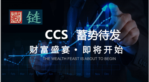 图片11