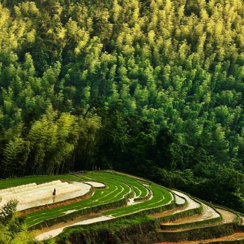 ���������ϱ����� ��1+4�������ں�ģʽ�ɹ����鱣��GIAHS