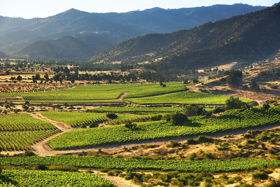 Cromas Universe (10).JPG